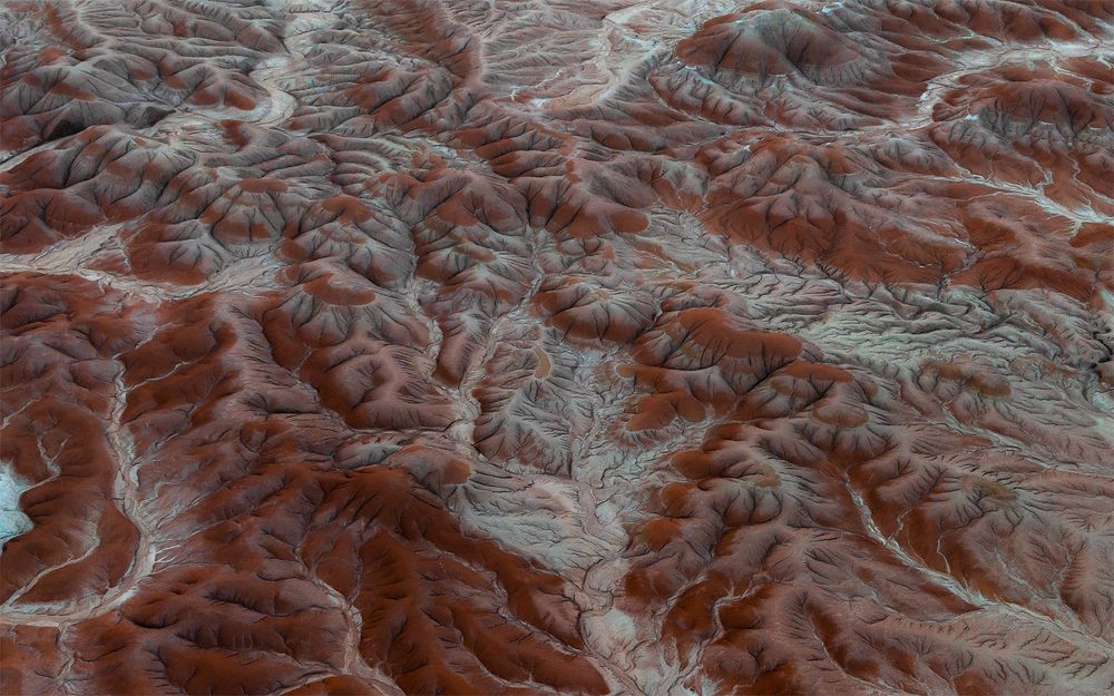 Photograph by Arbab Naimat Kasi