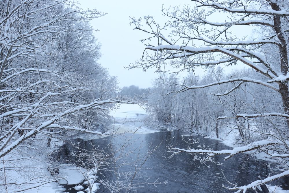 Photograph by Иван Скрипкин