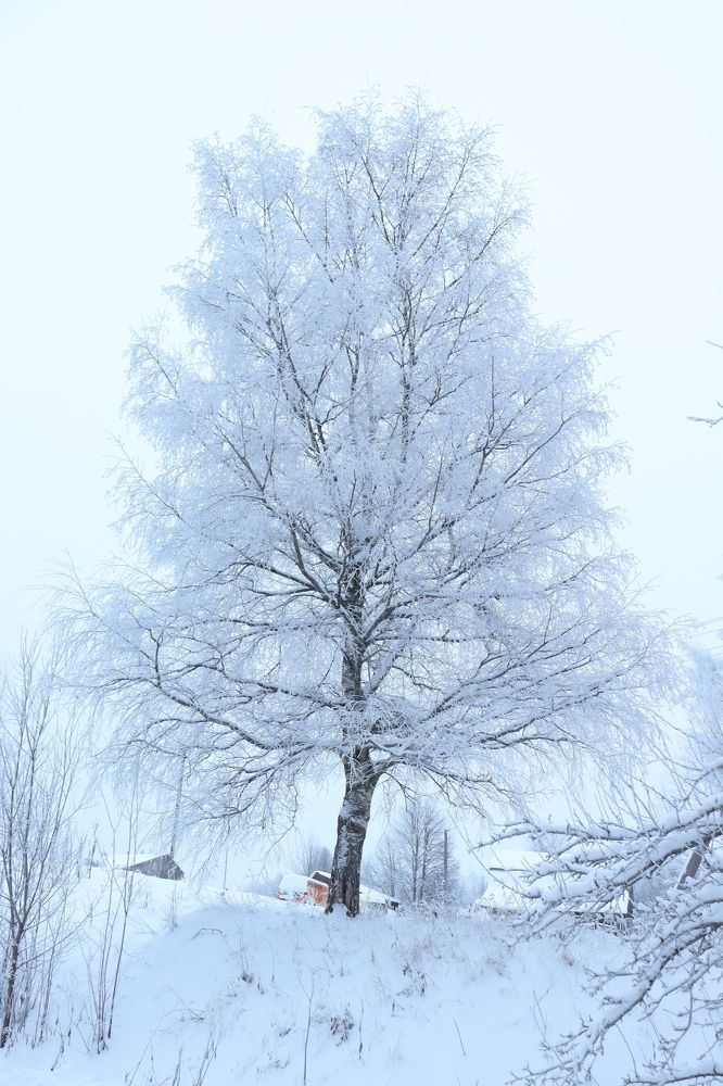 Photograph by Иван Скрипкин