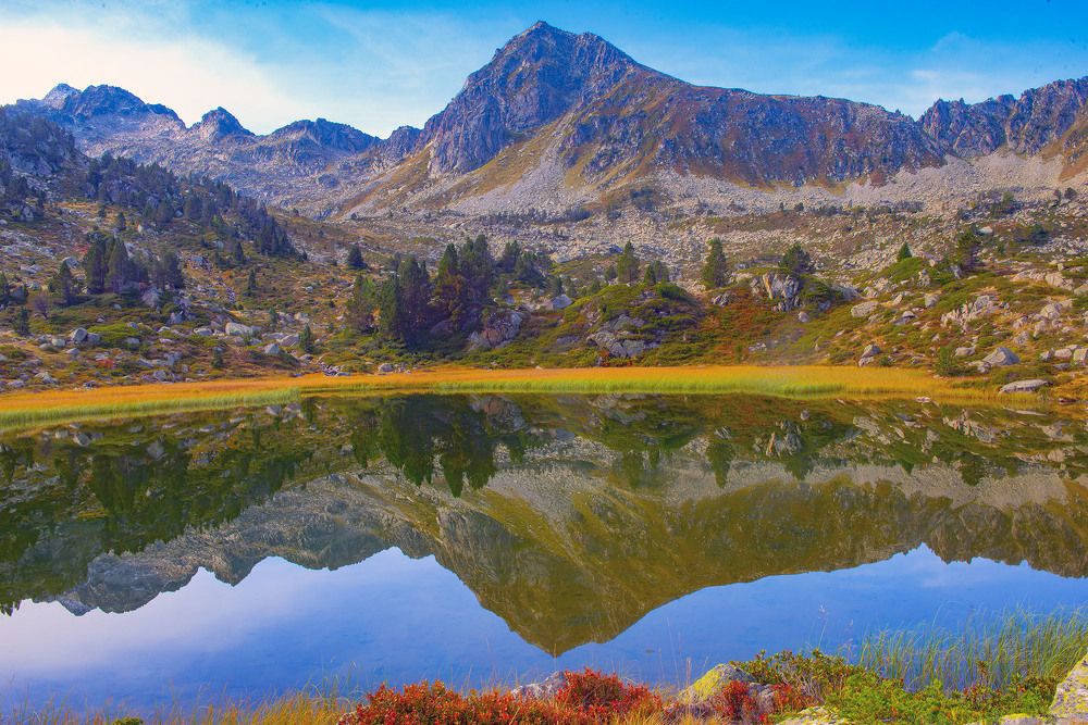 Фотография автора jean-luc