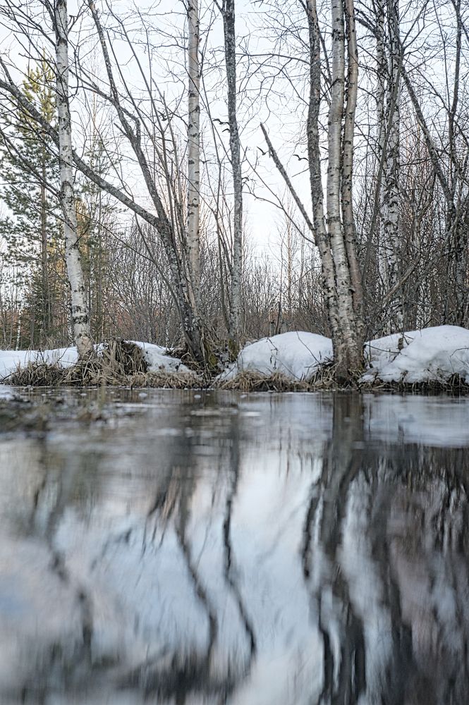 Фотография автора Андрей Шувалов
