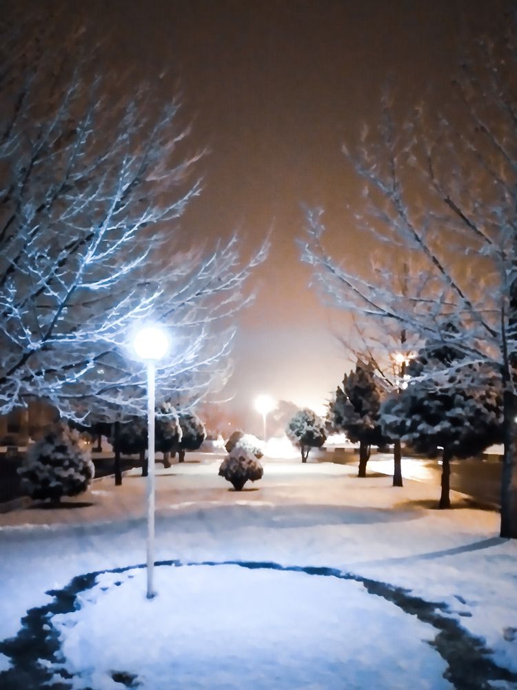 Photograph by Mohammad Amin Karimi