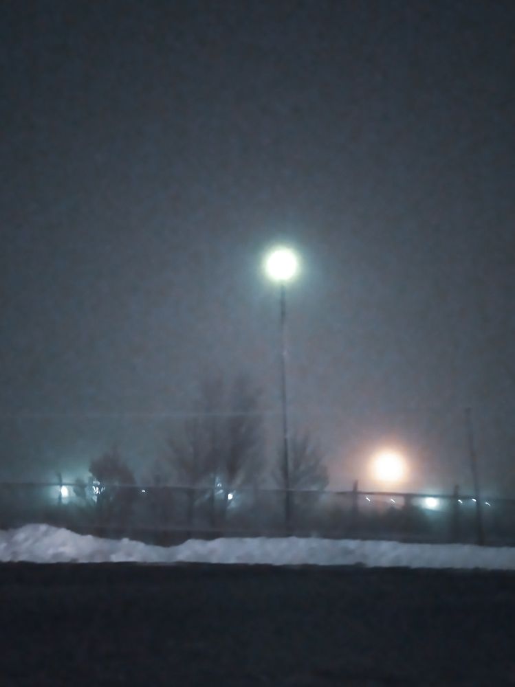 Photograph by Mohammad Amin Karimi