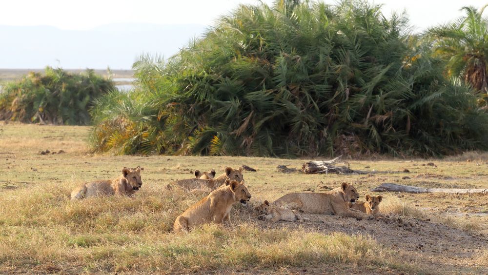 Photograph by Елена Врублевская