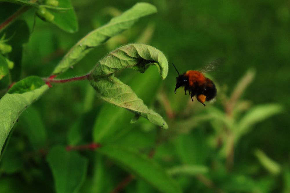 Photograph by Наталия