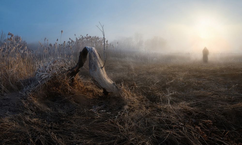 Photograph by Сергей Воробьев