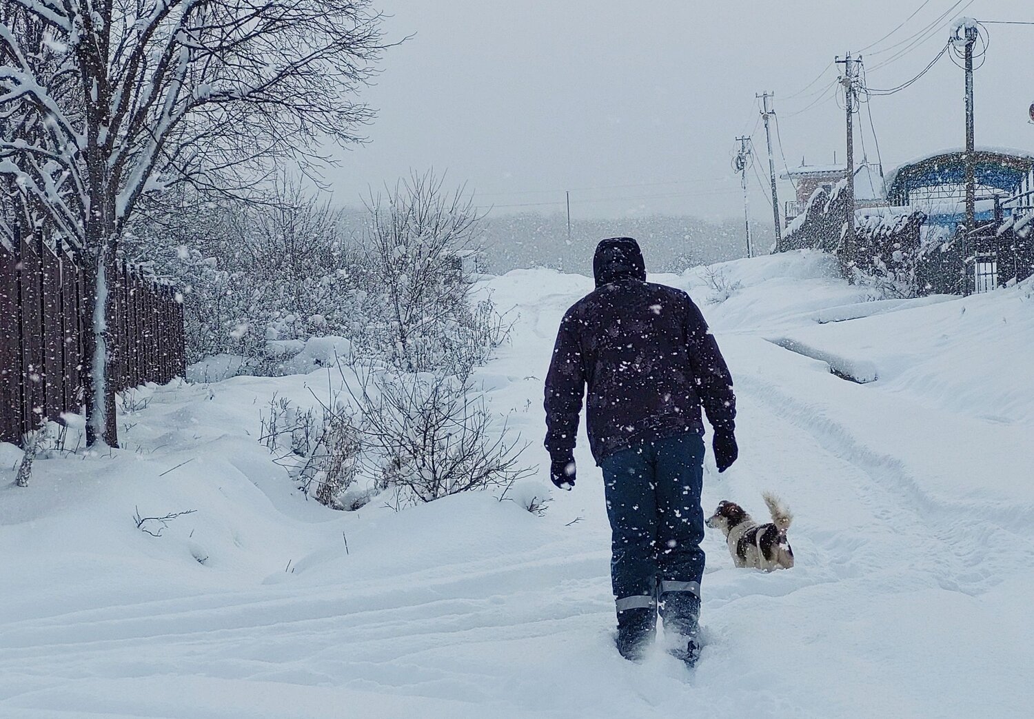 Photo #6910861