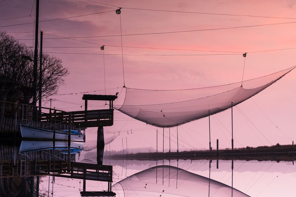 Photograph by Alin Bicas