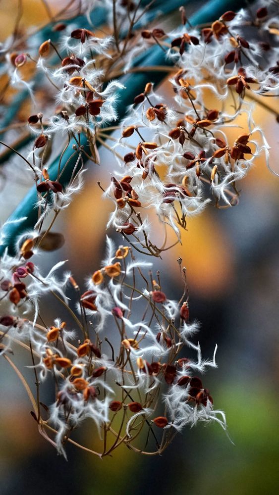 Photograph by АНДРЕЙ ОБРЯДОВ