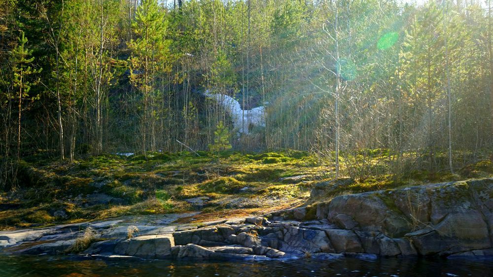 Photograph by АНДРЕЙ ОБРЯДОВ