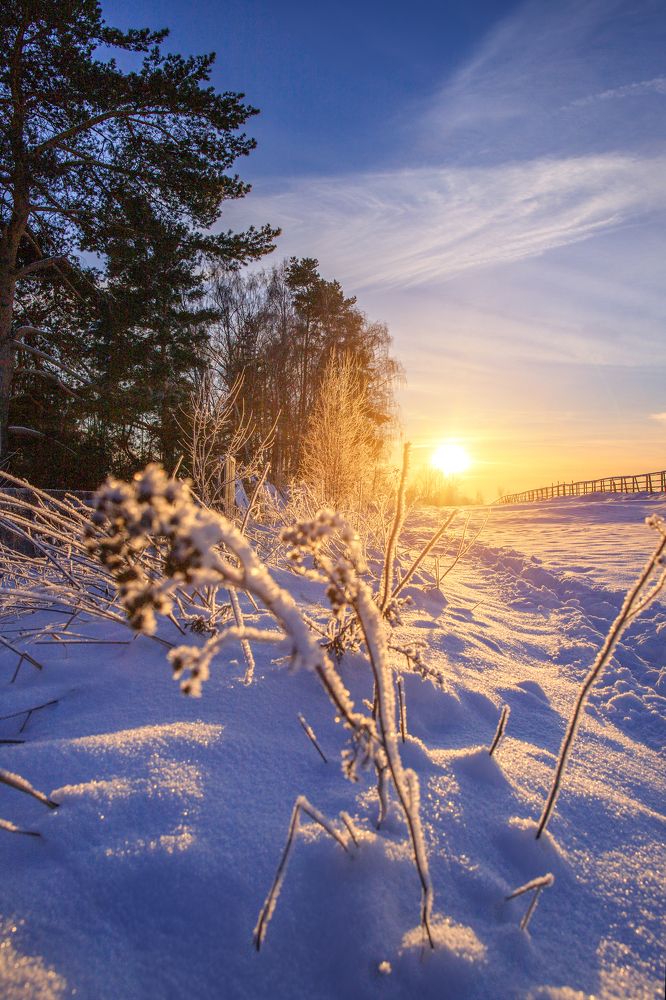 Photograph by Ангелина Старцева