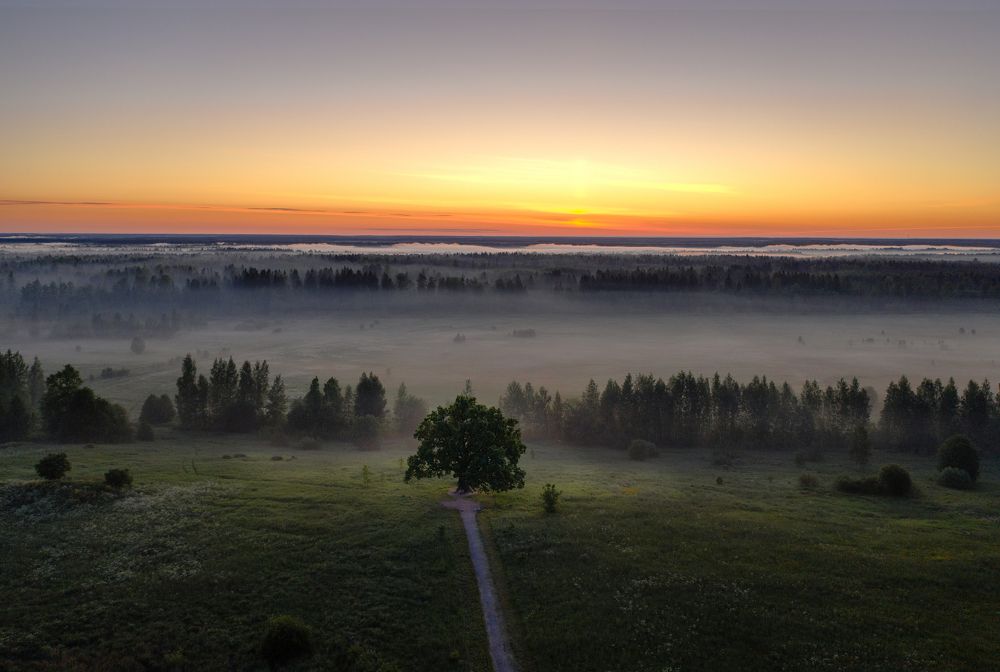 Фотография автора Максим