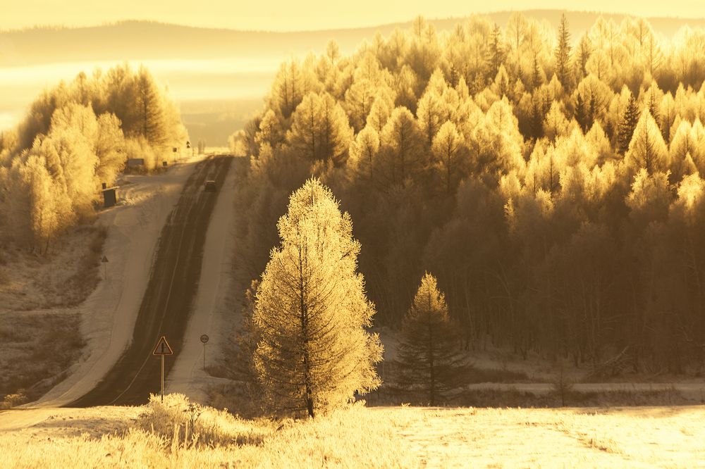 Фотография автора Лариса Кисурина