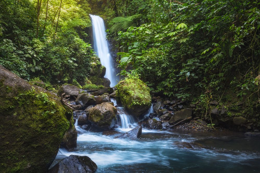 Photograph by Iris Lara