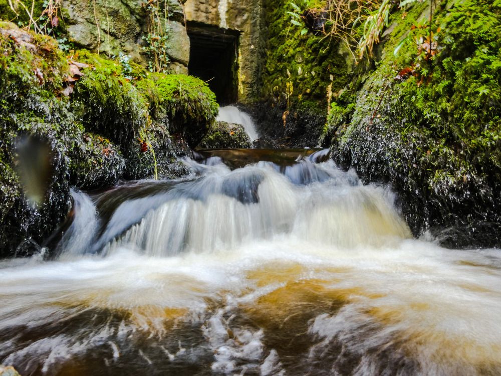 Фотография автора Michael Gault