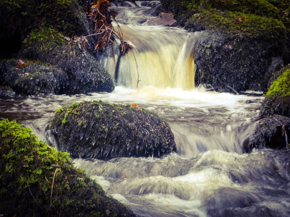 Фотография автора Michael Gault