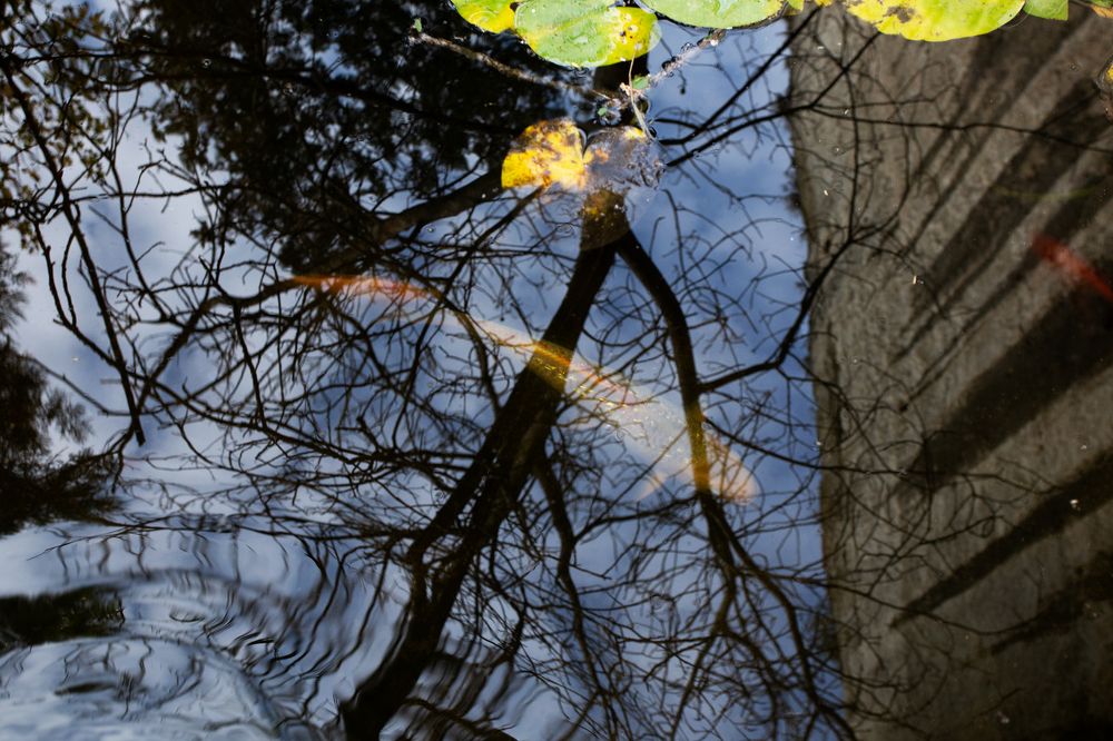 Photograph by Михаил Иванников