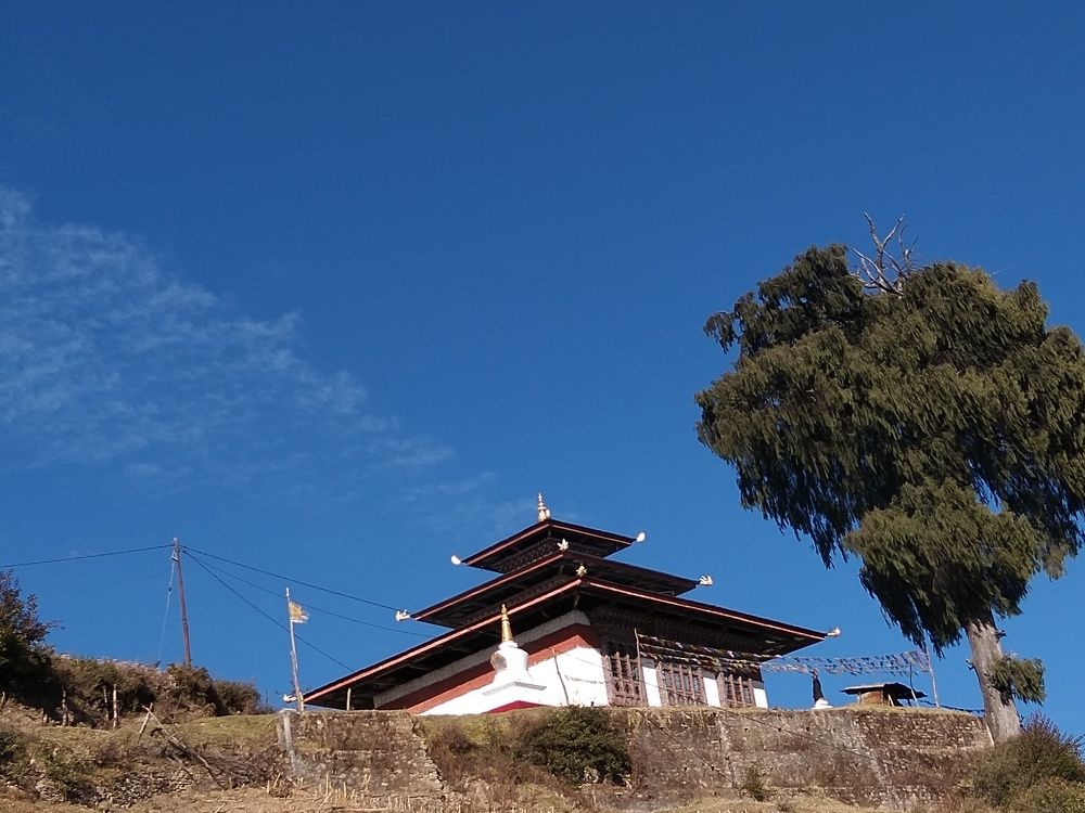 Photo #6911140