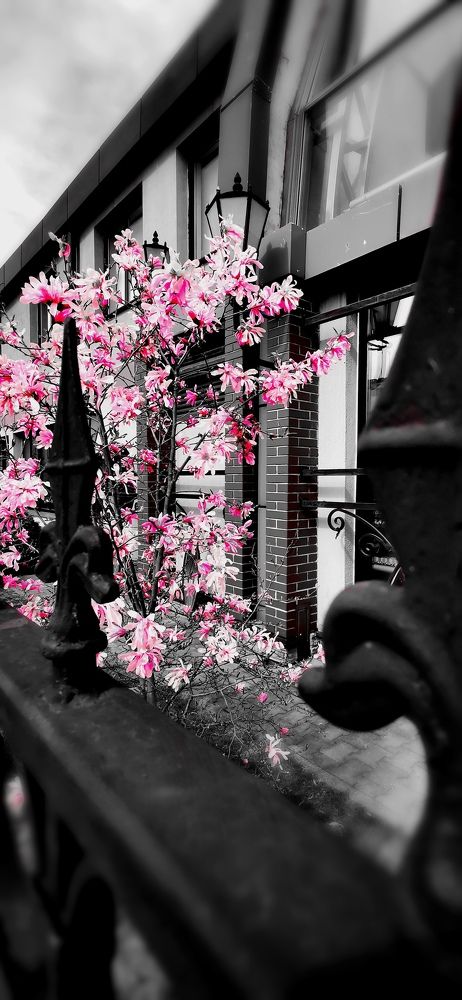 Photograph by Alexey Berger