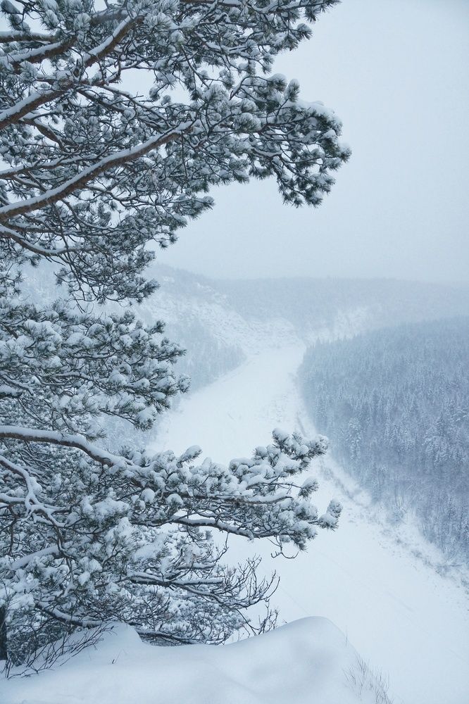 Photograph by Наталья Фрейман