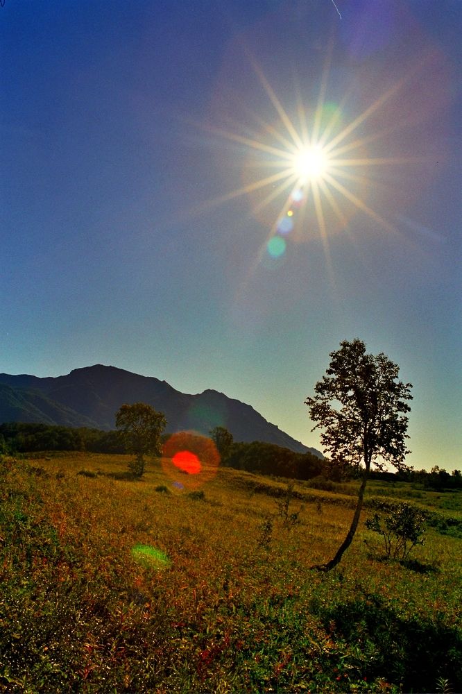 Photograph by Коровин Николай