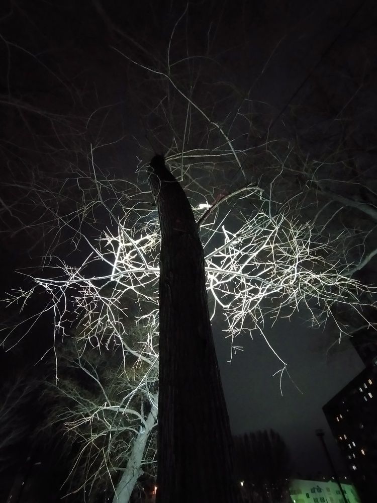 Переплетение