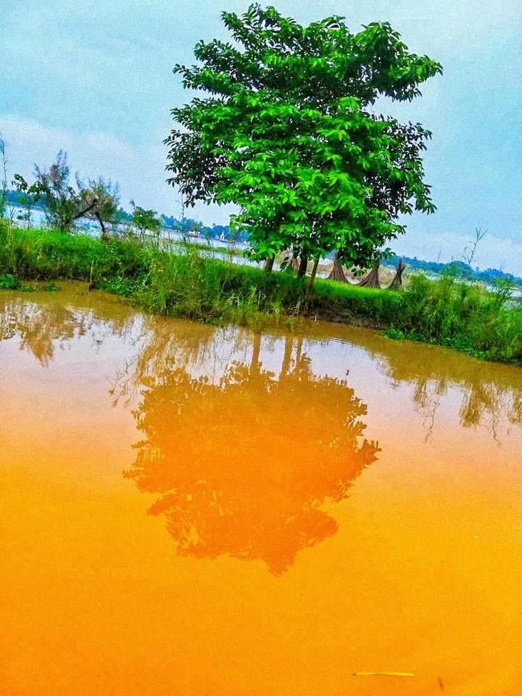 Фотография автора DALUI AMIT KUMAR