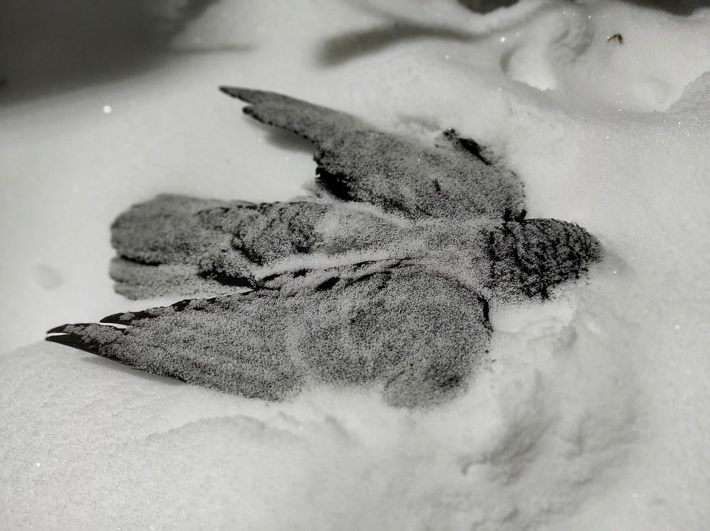 Photograph by Ирина Саттарова