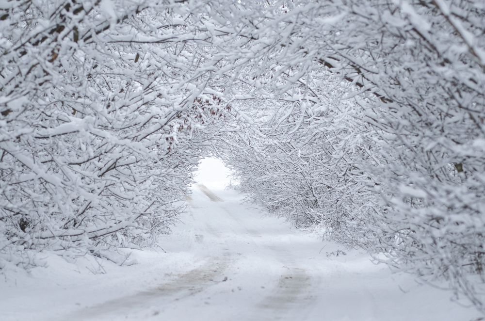 Photograph by Виктория Потапова