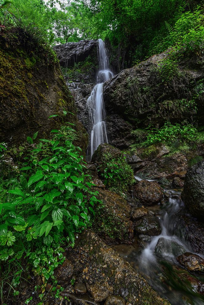 Фотография автора Farhad Alidost