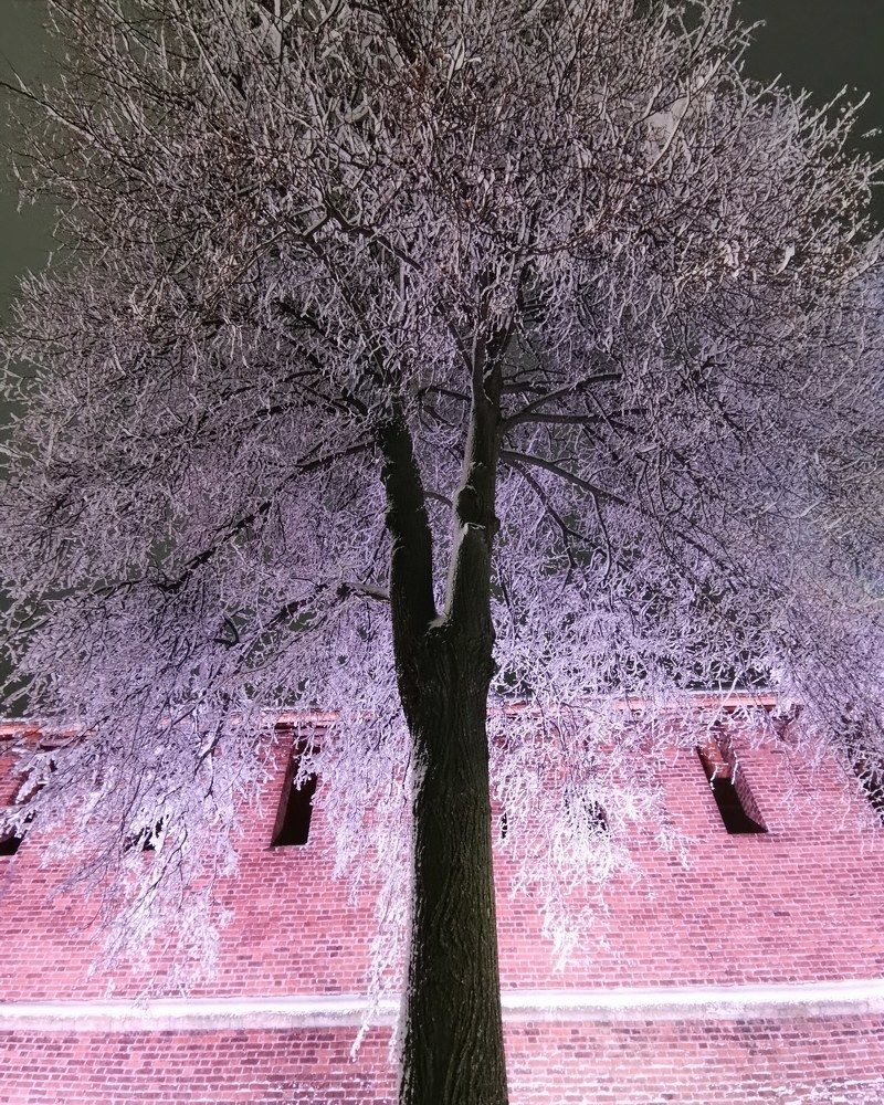 Photograph by Анна Чадова