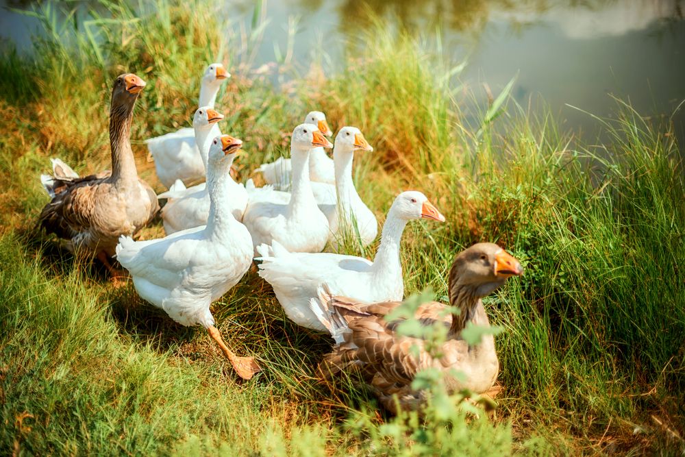 Photograph by Ксения Базарова