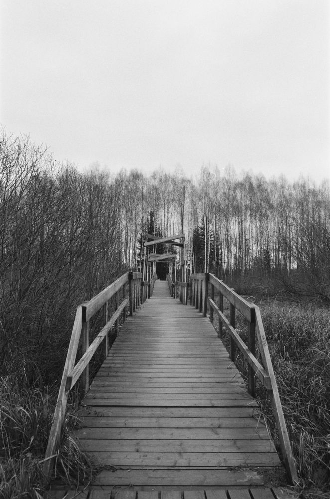 Photograph by Andrey Chernov
