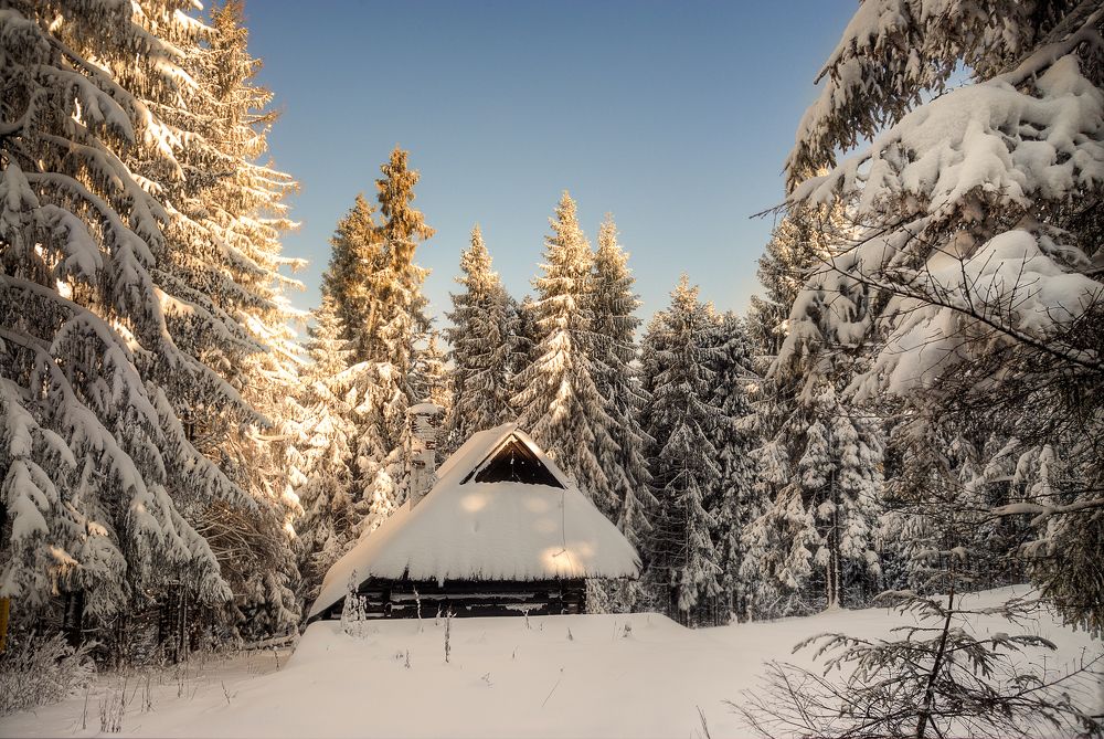 Photograph by Эдуард Гордеев