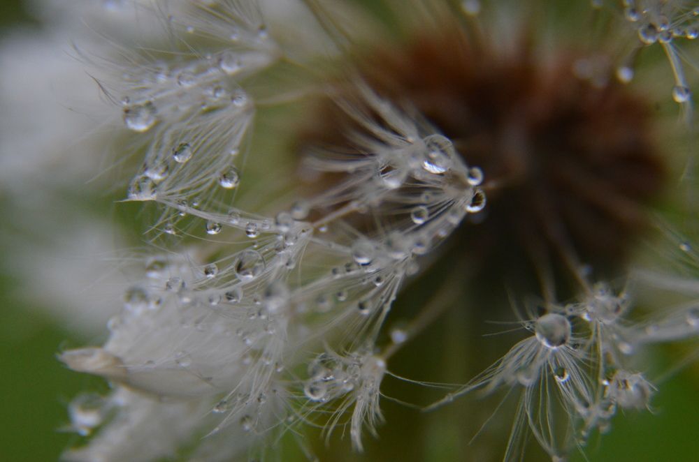 Photograph by Ольга Зиновьева