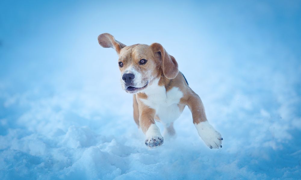 Фотография автора Katerina Mumzhinskaya