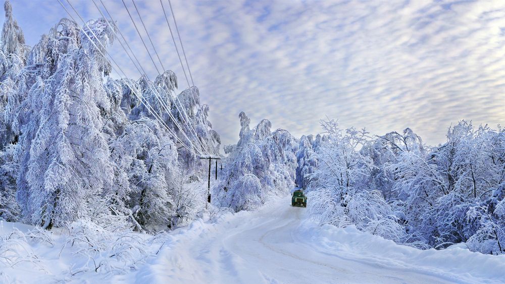 Photograph by Петр Орлов