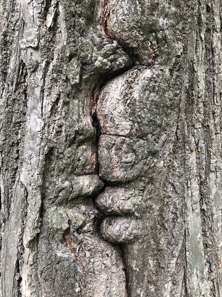 Фотография автора Зоя Малхова