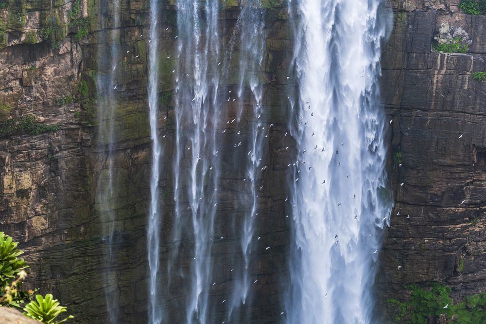 Фотография автора PRASHANT KUMAR DUBEY