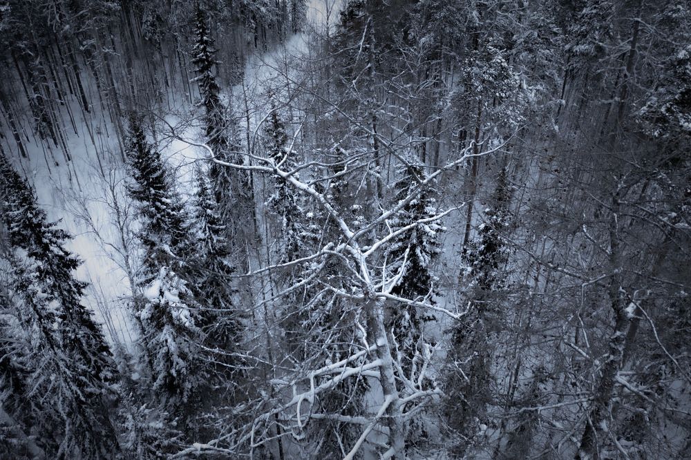 Photograph by Денис Гончаренко