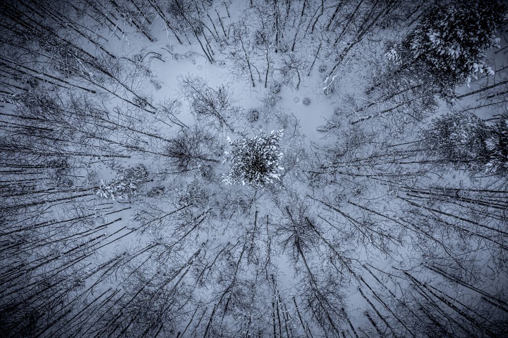 Photograph by Денис Гончаренко