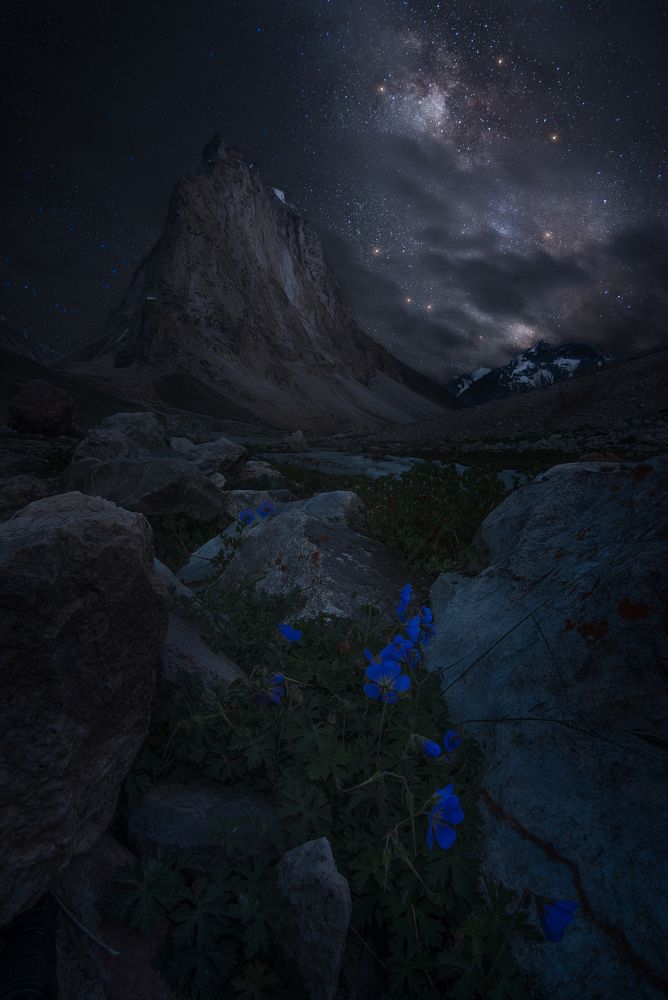 Photograph by TANAY DAS