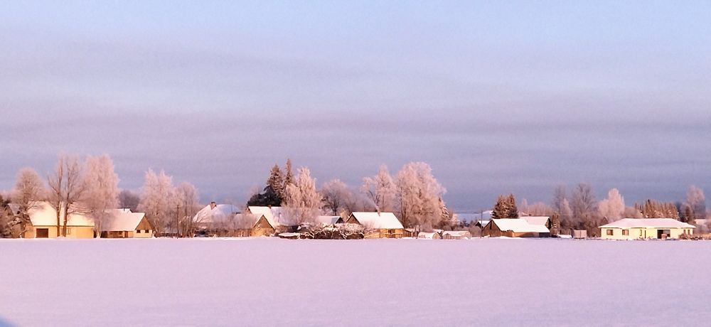 снег хранит поля