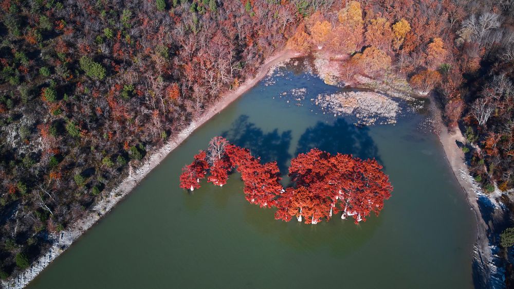 Photograph by Наталия Кирсанова