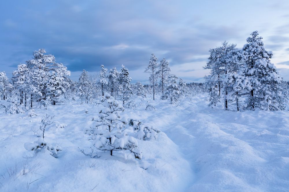 Photograph by Eriks Zilbalodis