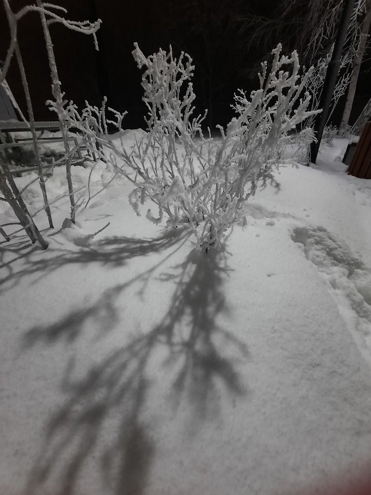 Photograph by Дарья