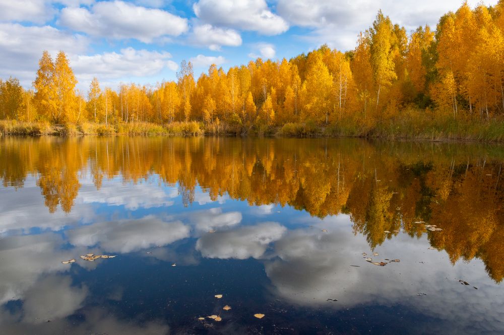 Отражение золотой осени.