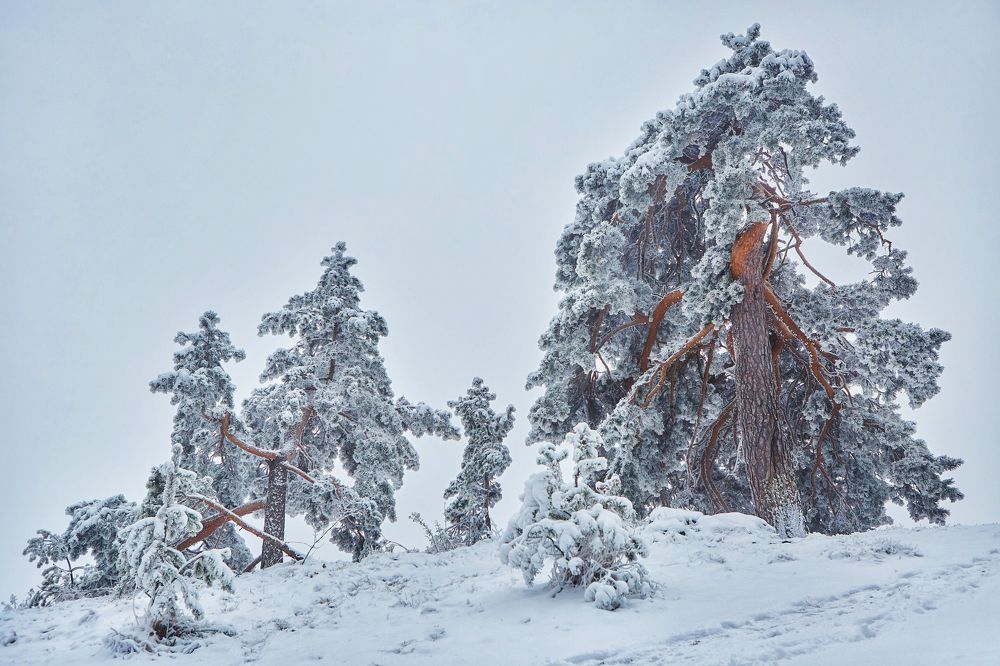 Photograph by Наталия Кирсанова