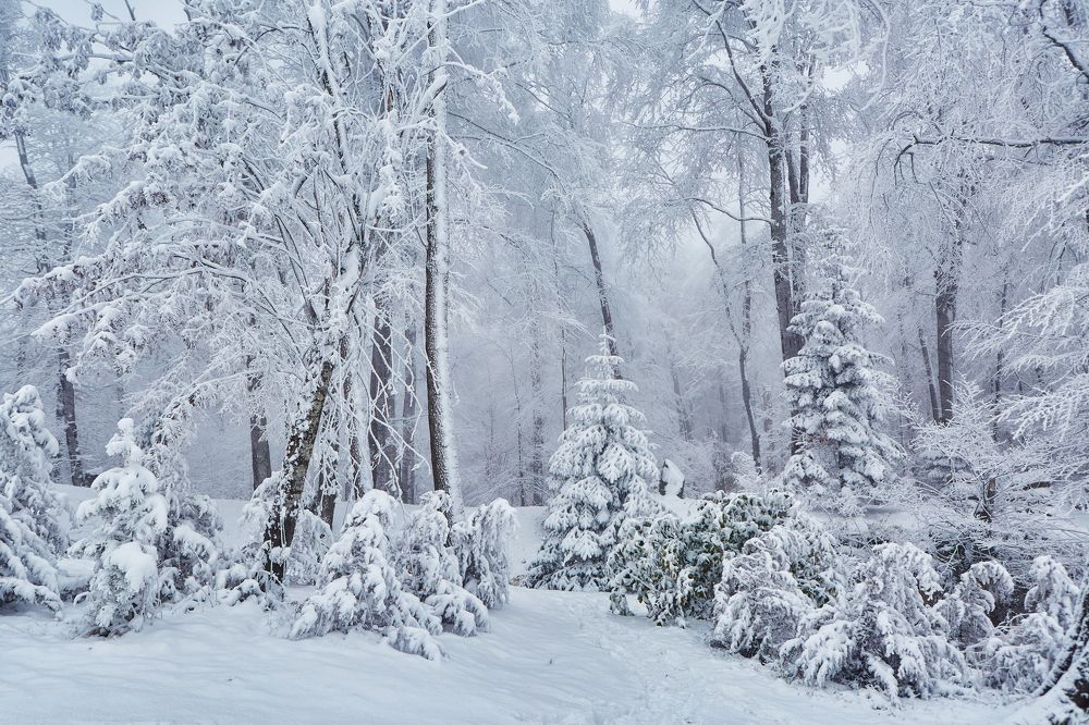 Photograph by Наталия Кирсанова