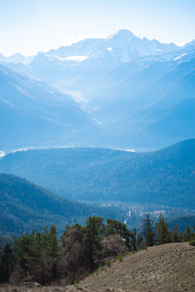 Фотография автора Алиса Курганская